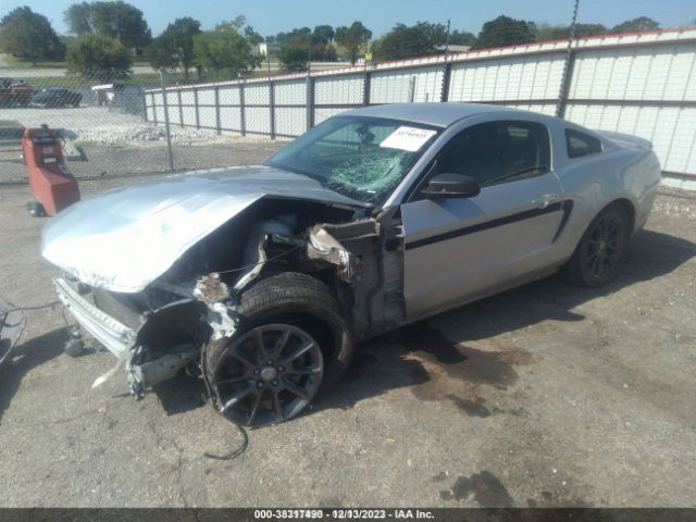 Photo 1 VIN: 1ZVBP8AM0B5138001 - FORD MUSTANG 