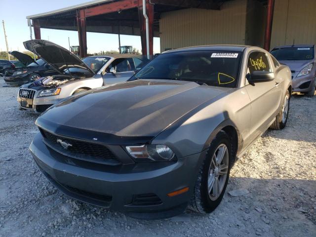 Photo 1 VIN: 1ZVBP8AM0B5141013 - FORD MUSTANG 