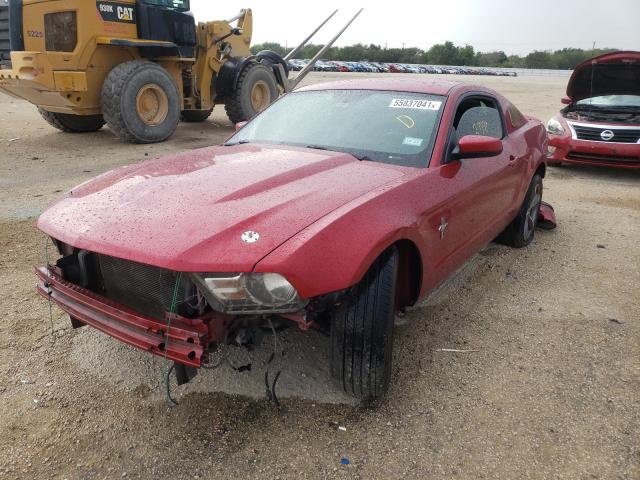 Photo 1 VIN: 1ZVBP8AM0C5202958 - FORD MUSTANG 