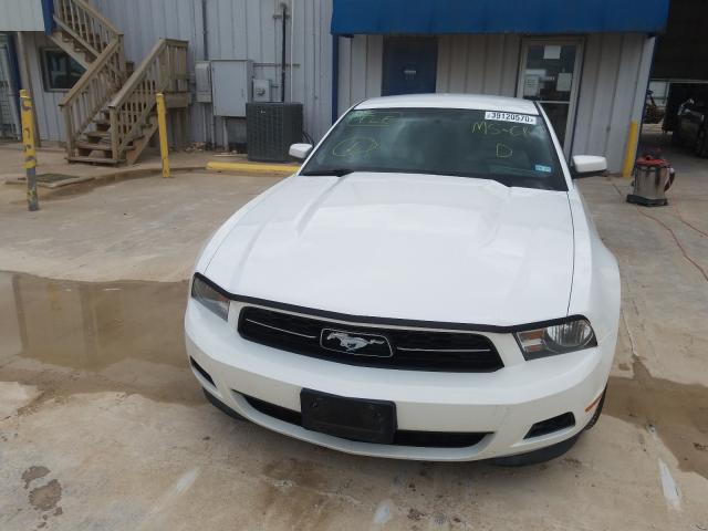 Photo 8 VIN: 1ZVBP8AM0C5233336 - FORD MUSTANG 