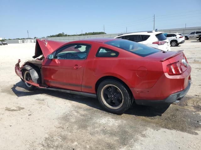 Photo 1 VIN: 1ZVBP8AM0C5241615 - FORD MUSTANG 