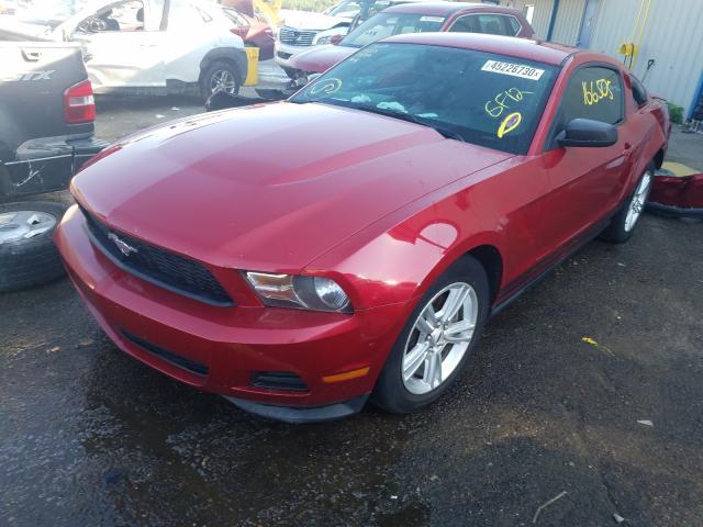 Photo 1 VIN: 1ZVBP8AM0C5242537 - FORD MUSTANG 