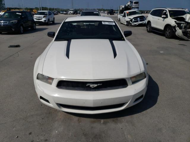 Photo 4 VIN: 1ZVBP8AM0C5244580 - FORD MUSTANG 