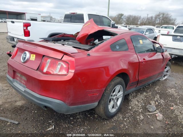 Photo 3 VIN: 1ZVBP8AM0C5247365 - FORD MUSTANG 