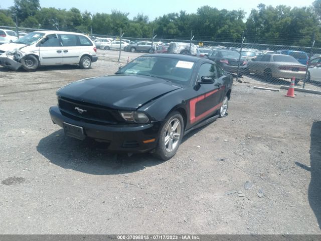 Photo 1 VIN: 1ZVBP8AM0C5247530 - FORD MUSTANG 