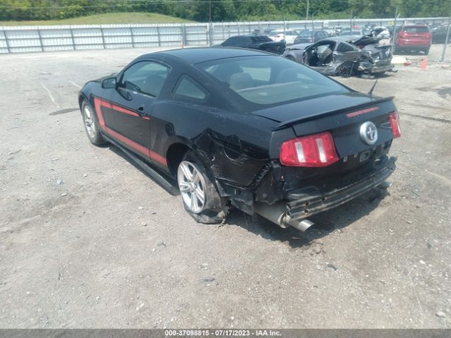 Photo 2 VIN: 1ZVBP8AM0C5247530 - FORD MUSTANG 