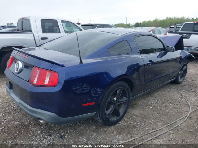 Photo 3 VIN: 1ZVBP8AM0C5248435 - FORD MUSTANG 