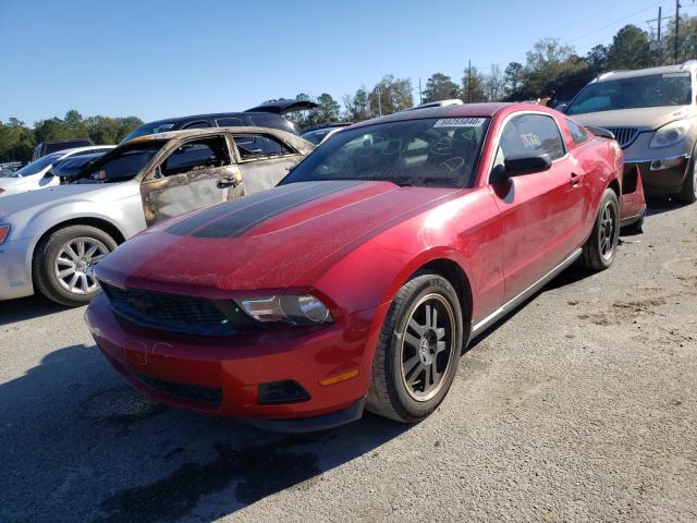 Photo 1 VIN: 1ZVBP8AM0C5255627 - FORD MUSTANG 