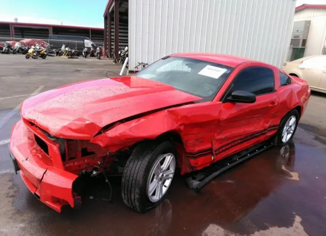 Photo 1 VIN: 1ZVBP8AM0C5256910 - FORD MUSTANG 