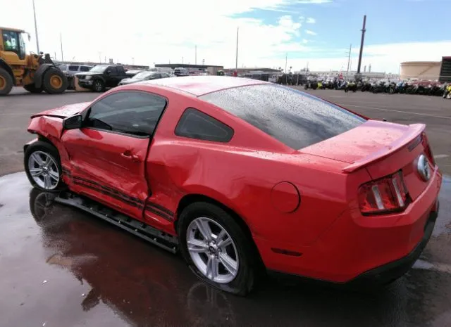 Photo 2 VIN: 1ZVBP8AM0C5256910 - FORD MUSTANG 