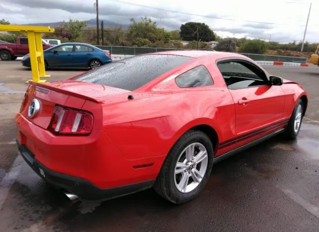 Photo 3 VIN: 1ZVBP8AM0C5256910 - FORD MUSTANG 