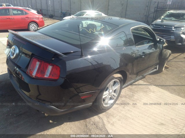 Photo 3 VIN: 1ZVBP8AM0C5260150 - FORD MUSTANG 