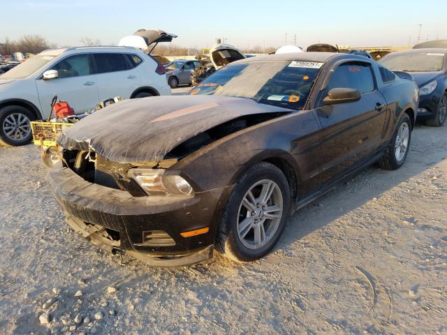 Photo 1 VIN: 1ZVBP8AM0C5265364 - FORD MUSTANG 