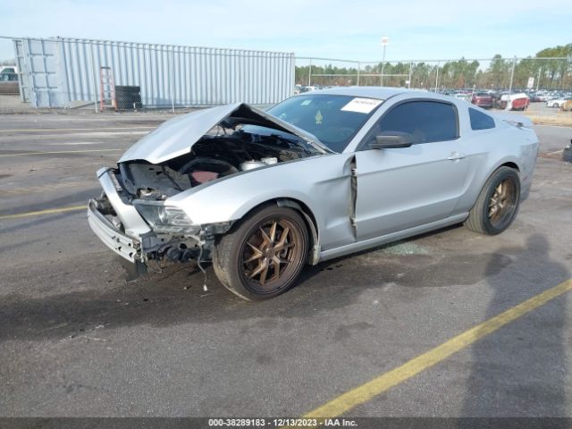 Photo 1 VIN: 1ZVBP8AM0D5208695 - FORD MUSTANG 