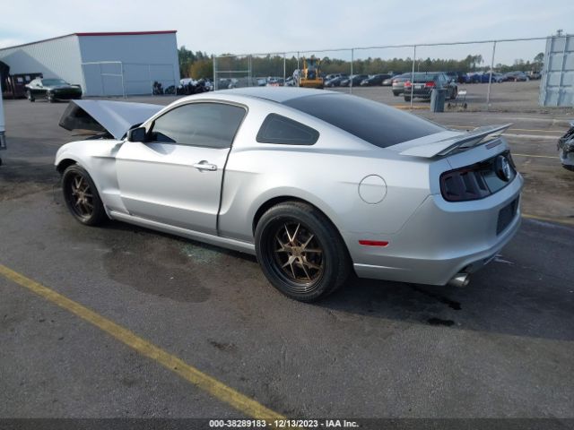 Photo 2 VIN: 1ZVBP8AM0D5208695 - FORD MUSTANG 