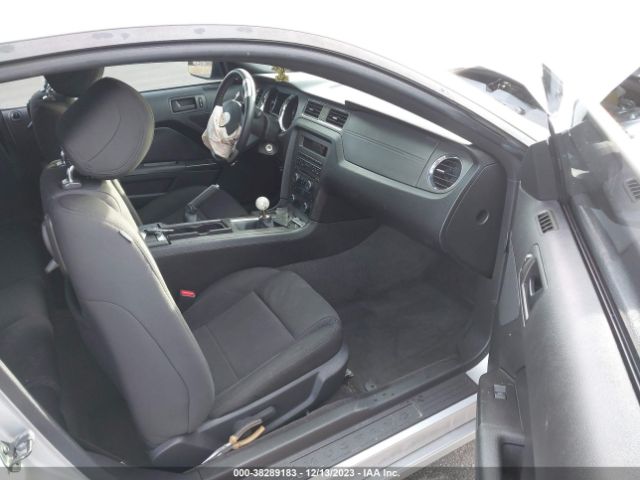 Photo 4 VIN: 1ZVBP8AM0D5208695 - FORD MUSTANG 