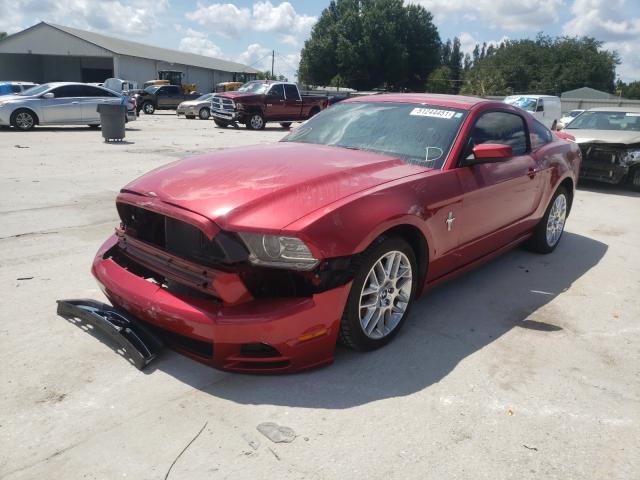 Photo 1 VIN: 1ZVBP8AM0D5226162 - FORD MUSTANG 