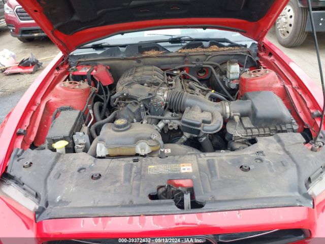 Photo 9 VIN: 1ZVBP8AM0D5247335 - FORD MUSTANG 