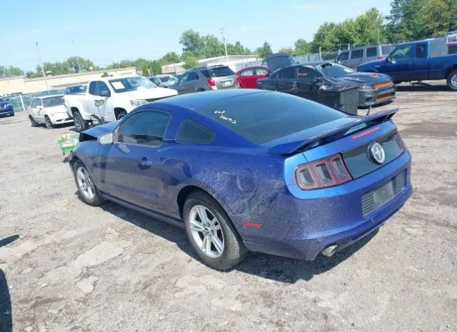 Photo 2 VIN: 1ZVBP8AM0D5260912 - FORD MUSTANG 