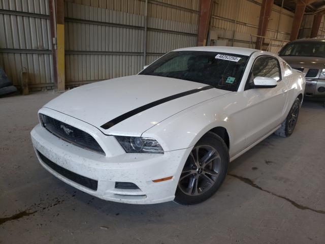 Photo 1 VIN: 1ZVBP8AM0D5264944 - FORD MUSTANG 