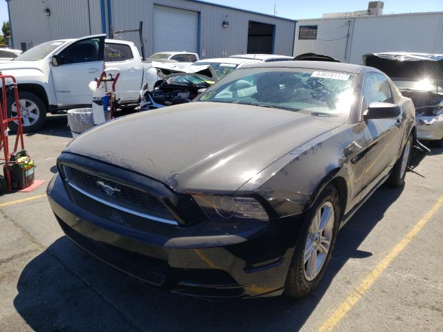 Photo 1 VIN: 1ZVBP8AM0E5241407 - FORD MUSTANG 