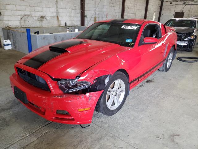 Photo 1 VIN: 1ZVBP8AM0E5256201 - FORD MUSTANG 