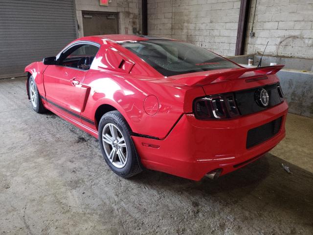 Photo 2 VIN: 1ZVBP8AM0E5256201 - FORD MUSTANG 