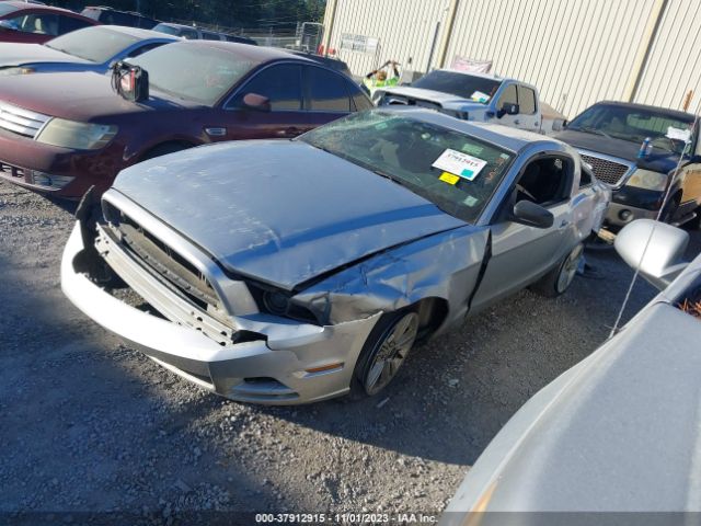 Photo 1 VIN: 1ZVBP8AM0E5266937 - FORD MUSTANG 