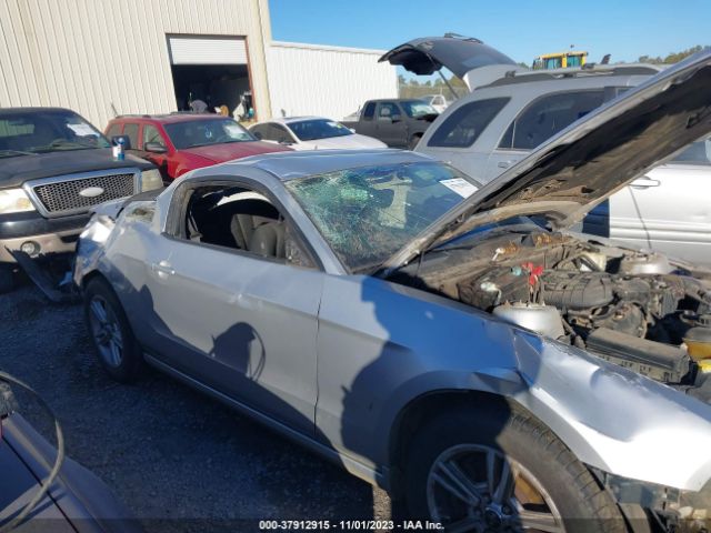 Photo 5 VIN: 1ZVBP8AM0E5266937 - FORD MUSTANG 