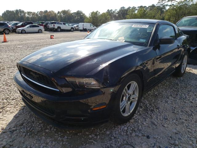 Photo 1 VIN: 1ZVBP8AM0E5269997 - FORD MUSTANG 