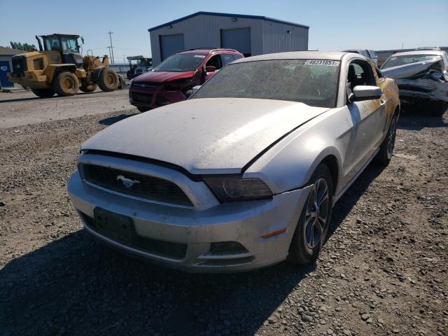 Photo 1 VIN: 1ZVBP8AM0E5278828 - FORD MUSTANG 