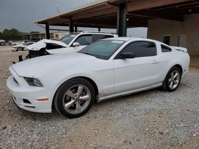 Photo 0 VIN: 1ZVBP8AM0E5279218 - FORD MUSTANG 