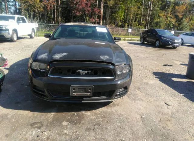 Photo 5 VIN: 1ZVBP8AM0E5281969 - FORD MUSTANG 