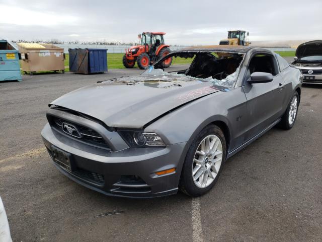 Photo 1 VIN: 1ZVBP8AM0E5288937 - FORD MUSTANG 