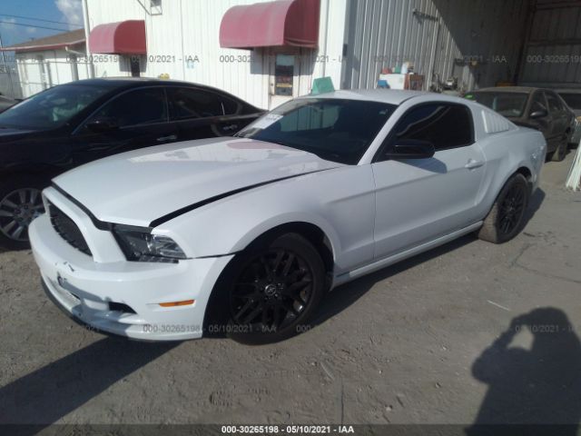 Photo 1 VIN: 1ZVBP8AM0E5298450 - FORD MUSTANG 