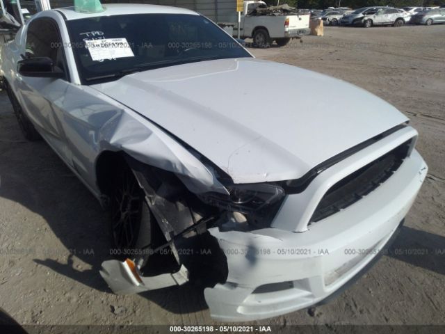 Photo 5 VIN: 1ZVBP8AM0E5298450 - FORD MUSTANG 