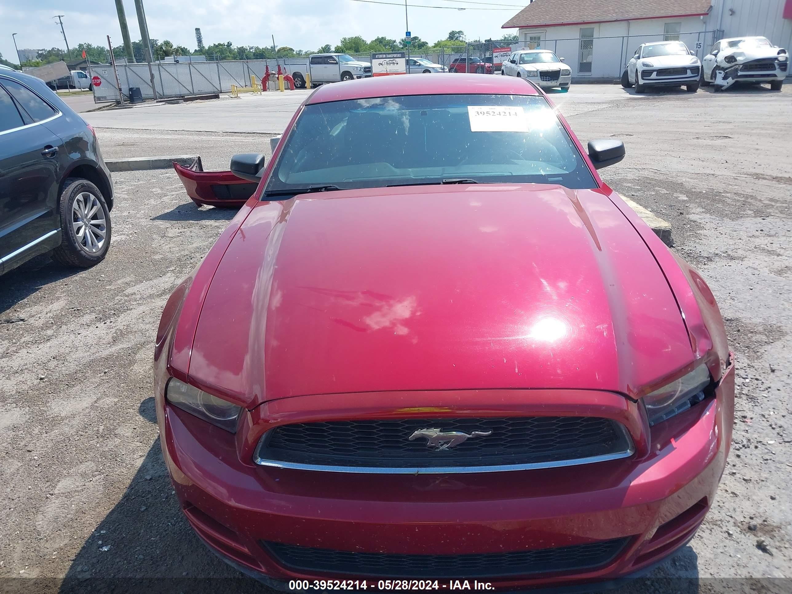 Photo 12 VIN: 1ZVBP8AM0E5298545 - FORD MUSTANG 