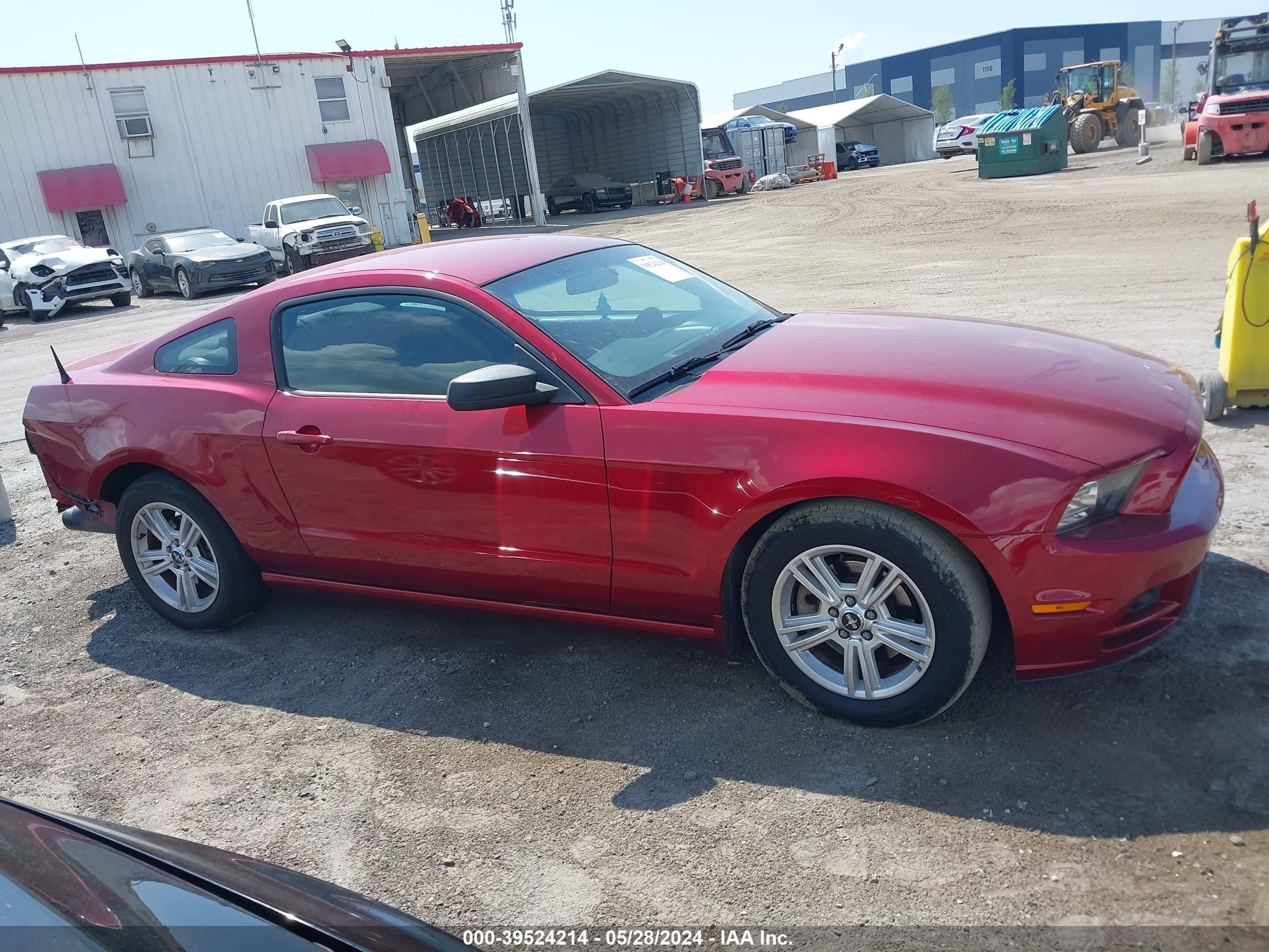 Photo 13 VIN: 1ZVBP8AM0E5298545 - FORD MUSTANG 