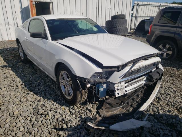 Photo 0 VIN: 1ZVBP8AM0E5313867 - FORD MUSTANG 