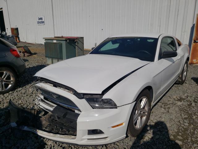 Photo 1 VIN: 1ZVBP8AM0E5313867 - FORD MUSTANG 