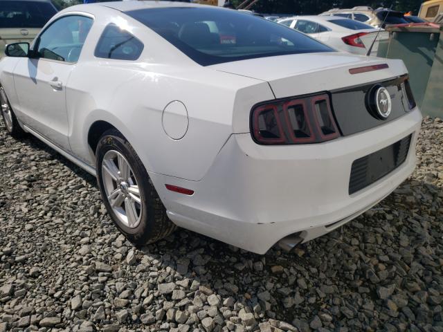 Photo 2 VIN: 1ZVBP8AM0E5313867 - FORD MUSTANG 