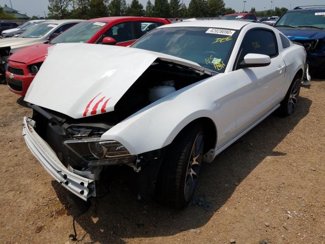 Photo 1 VIN: 1ZVBP8AM0E5314114 - FORD MUSTANG 