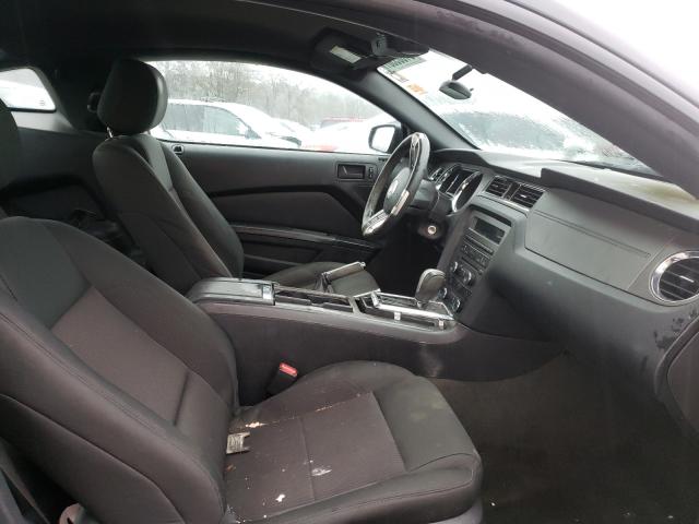 Photo 4 VIN: 1ZVBP8AM0E5318356 - FORD MUSTANG 