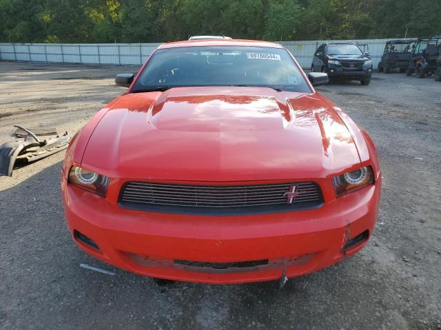 Photo 4 VIN: 1ZVBP8AM1B5104374 - FORD MUSTANG 