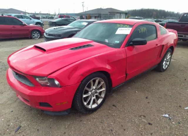 Photo 1 VIN: 1ZVBP8AM1B5109753 - FORD MUSTANG 