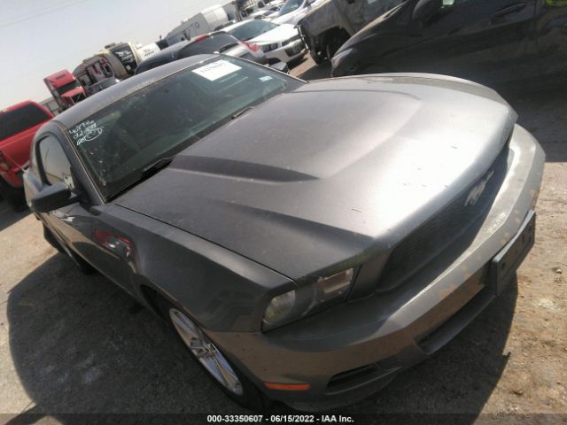 Photo 0 VIN: 1ZVBP8AM1B5125287 - FORD MUSTANG 