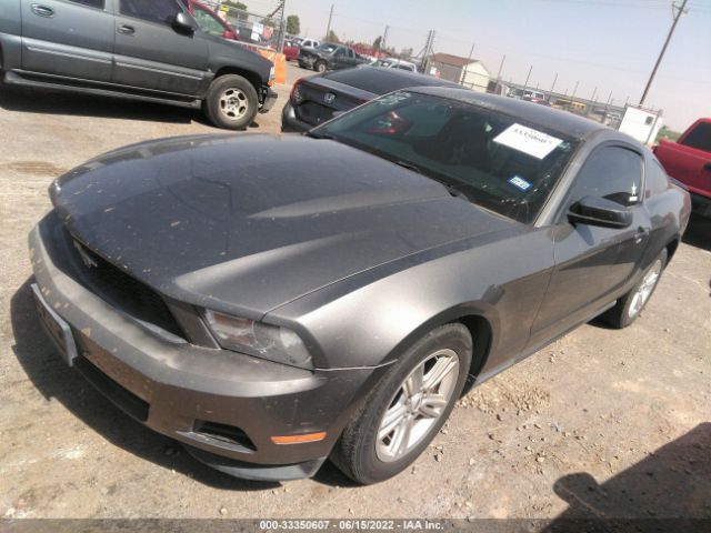 Photo 1 VIN: 1ZVBP8AM1B5125287 - FORD MUSTANG 