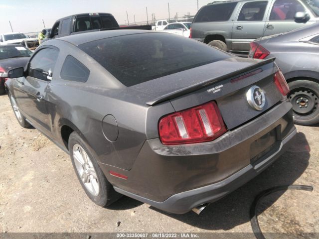 Photo 2 VIN: 1ZVBP8AM1B5125287 - FORD MUSTANG 