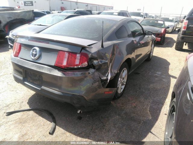 Photo 5 VIN: 1ZVBP8AM1B5125287 - FORD MUSTANG 