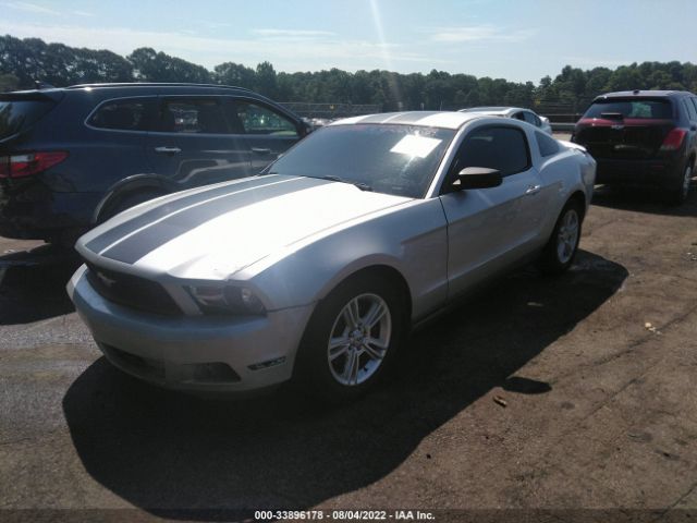 Photo 1 VIN: 1ZVBP8AM1B5131087 - FORD MUSTANG 